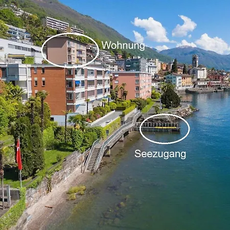 Apartment Bellevue By Fewotessin *